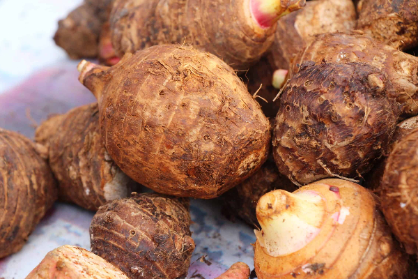 சேப்பங்கிழங்கு சாப்பிட்டால் சாகும் வரை கண் கோளாறுகள் நெருங்கவே நெருங்காது | Health Benefits Of Taro Root