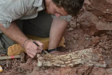 8.6 கோடி ஆண்டுகளுக்கு முன் வாழ்ந்த டைனோசார் கண்டுபிடிப்பு!