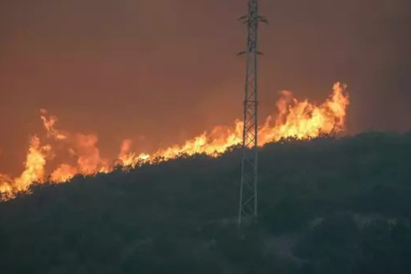 துருக்கியில் காட்டுத் தீயில் சிக்கி 10 பேர் உயிரிழப்பு | 10 Killed In Forest Fire In Turkey