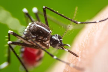 யாழ்ப்பாணத்தில் சுத்தமில்லாத மூவருக்கு எதிராக வழக்கு