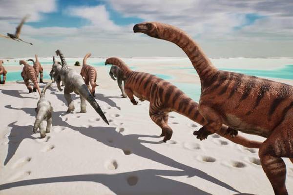 பல மில்லியன் ஆண்டுகள் பழமையான டைனோசரின் கால்த்தடங்கள் கண்டுபிடிப்பு | Dinosaur Footprints Over 200 Million Years Old பல மில்லியன் ஆண்டுகள் பழமையான டைனோசரின் கால்த்தடங்கள் கண்டுபிடிப்பு | Dinosaur Footprints Over 200 Million Years Old