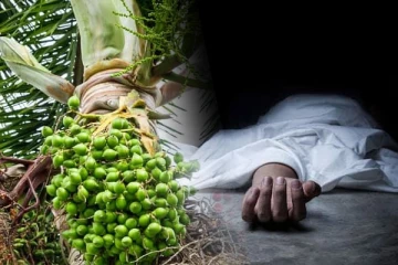 பசறையில் பாக்கு மரத்தில் இருந்து வீழ்ந்து சிறுவன் உயிரிழப்பு