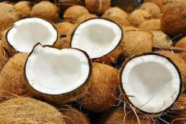 தேங்காய் விலையில் ஏற்பட்டுள்ள திடீர் அதிகரிப்பு | Coconut Price Increase In Market Today