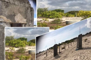 யாழ்.நாகர்கோவிலில் நுழைவாயில் கதவுகள் திருட்டு: மக்கள் விடுத்துள்ள கோரிக்கை