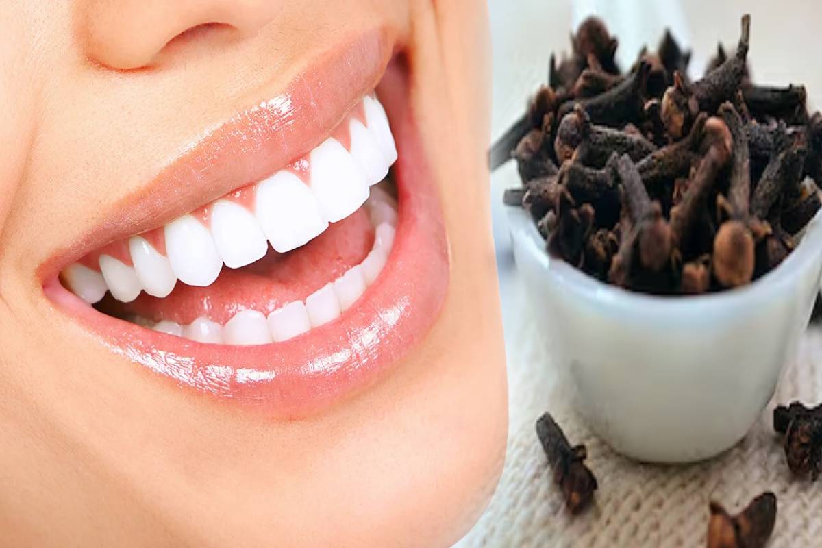 தினமும் காலையில் 2 கிராம்பு: உடலுக்கு கிடைக்கும் முக்கிய 5 நன்மைகள்! | Amazing Health Benefits Of Chewing Cloves Daily தினமும் காலையில் 2 கிராம்பு: உடலுக்கு கிடைக்கும் முக்கிய 5 நன்மைகள்! | Amazing Health Benefits Of Chewing Cloves Daily