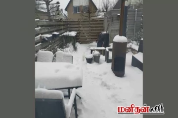 ஐந்தே வினாடிகளில் பனியில் மறைந்திருக்கும் பூனையை கண்டுபிடிக்க முடியுமா?