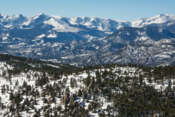 அமெரிக்காவில் மலைச்சிங்கம் தாக்கியதில் பெண் பலி | Mountain Lion Attack Colorado Woman Dead