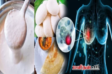 புளித்த உணவுகள் சாப்பிட்டால் புற்றுநோய் வராதா? மருத்துவ விளக்கம்