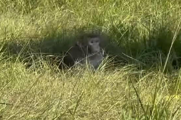 அமெரிக்கர்களுக்கு விடுக்கப்பட்டுள்ள அவசர எச்சரிக்கை | Emergency Warning Issued To The American People