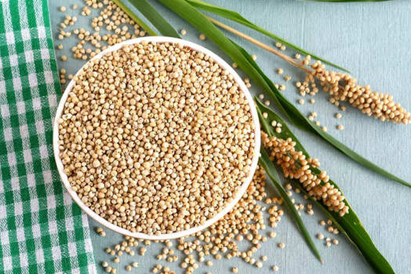 சிறுதானியங்களை உணவில் சேர்ப்பதால் கிடைக்கும் பலாபலன்கள்! | Millet Is The Solution To All Problems