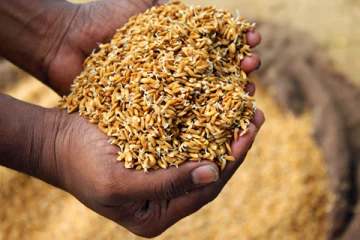 වී අලෙවි මණ්ඩලයේ නව වී මිලදී ගැනීමේ මිල ගණන්