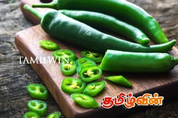 உச்சம் தொட்ட பச்சை மிளகாய் விலை