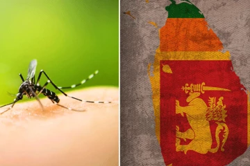 இலங்கையில் அதிகரிக்கும் டெங்கு நோய் தொற்று: அடையாளம் காணப்பட்டுள்ள அபாய வலயங்கள்