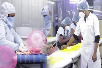 தமிழர் பகுதியில் பலரையும் திரும்பி பார்க்க வைக்கும் நிறுவனம்