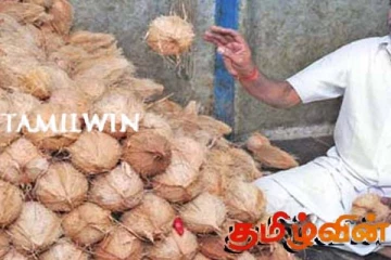 நாளுக்கு நாள் தேங்காய் விலையில் ஏற்படும் மாற்றம்!