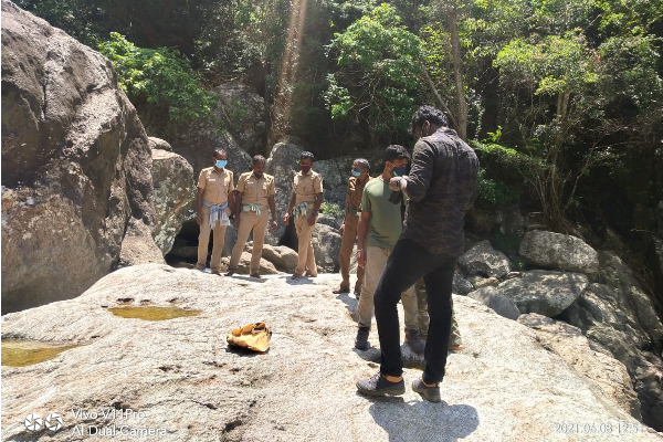 மலைப்பகுதியில் சரிந்து விழுந்து இளம்பெண் யானை பலி! பொதுமக்கள் சோகம்! | Elephant Nellai Death Public Feels