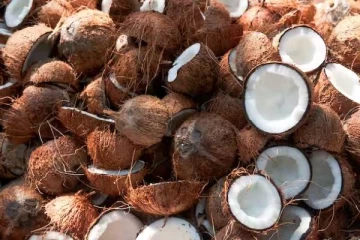 நாடளாவிய ரீதியில் அதிகரித்த தேங்காயின் விலை