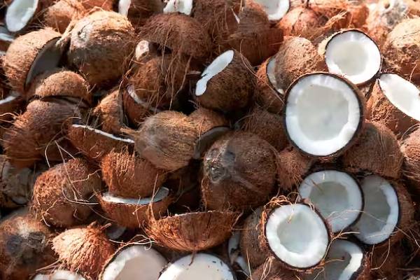 தேங்காய் விலை அதிகரிப்பு - ஐபிசி தமிழ்