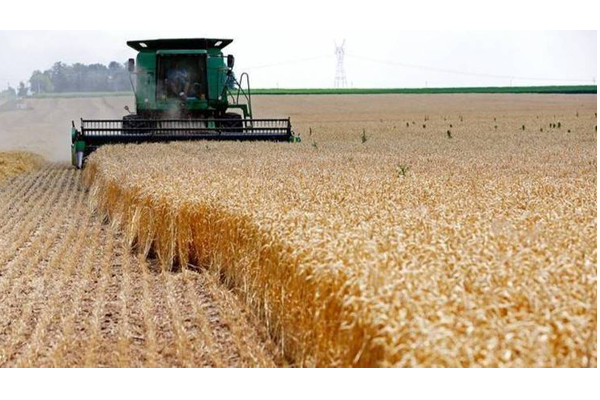 இந்தியாவிலிருந்து இறக்குமதியாகும் கோதுமையை மறுஏற்றுமதி செய்ய ஐக்கிய அரபு அமீரகம் தடை | Uae Suspense Of Indian Wheat Export In Tamil