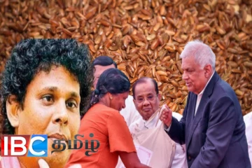 சிவப்பு அரிசி தட்டுப்பாட்டிற்கு காரணம் யார் தெரியுமா...!