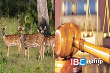 கர்ப்பிணி மான் சுட்டுக்கொலை :காவல்துறை அதிகாரிகள் உட்பட நால்வருக்கு நீதிமன்றின் உத்தரவு