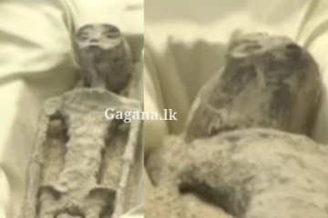 ලොවම කළඹවමින් එළියට ආ පිටසක්වල ජීවින් දෙදෙනා.. (VIDEO)