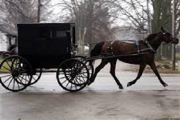 கனடாவில் இடம்பெற்ற குதிரை வண்டி விபத்தில் சிறுவர்களுக்கு நேர்ந்த சோகம்