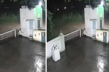 தற்செயலாக சந்தித்த மனிதனும்,சிங்கமும் - கடைசியில் நடந்ததை முடிந்தால் சிரிக்காம பாருங்க