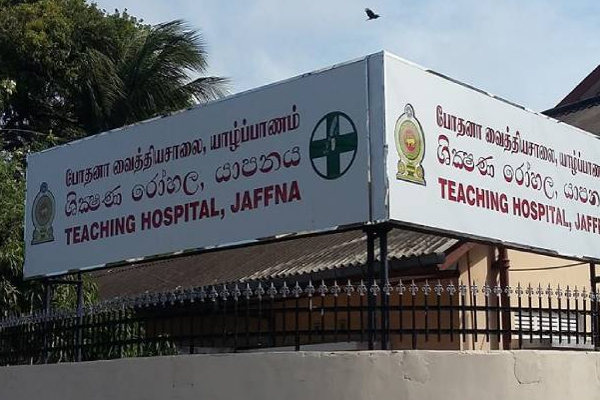 யாழில் பெரும் சோக சம்பவம்: பரிதாபமாக உயிரிழந்த இளம் குடும்பப் பெண்! | Young Family Woman Died Of Brain Death In Jaffna
