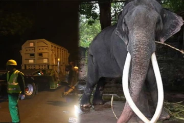 முத்துராஜா சென்ற விமானத்தின் மீது கவனம் செலுத்திய உலக மக்கள்