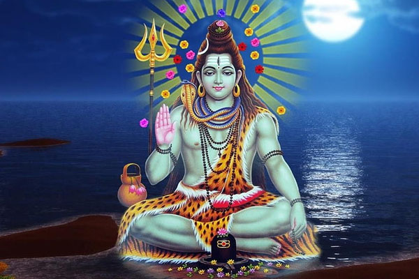 இந்த இரு இலைகள் இருந்தால் மட்டும் போதும் கெட்டது அனைத்தும் தூர ஓடி விடும்! | Two Leaves Are Enough Every Problem Solved
