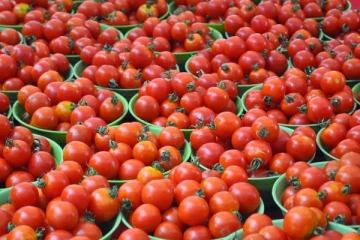 தக்காளி விலை உயர்வு - கிலோ ரூ.35க்கு விற்பனை..!