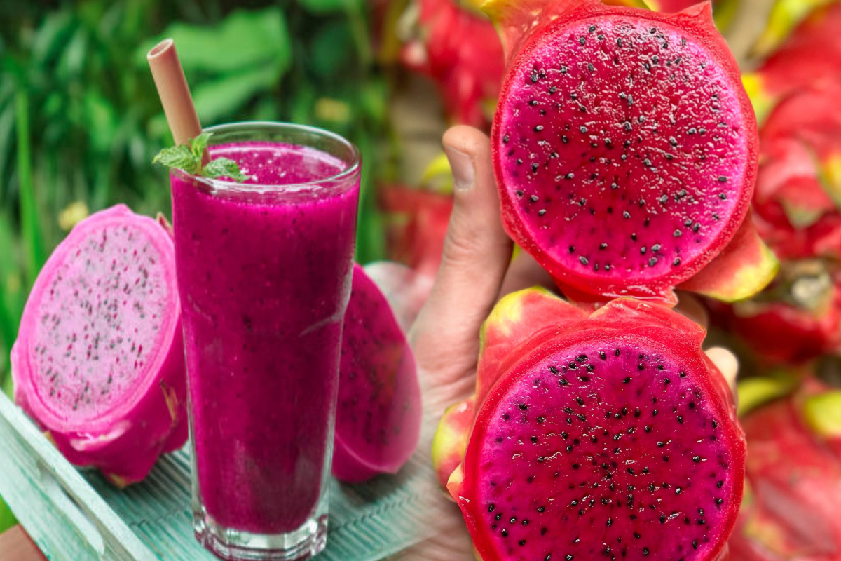 ஆரோக்கியம் முதல் அழகு வரை; டிராகன் பழத்தின் நன்மைகள்! | Health And Beauty Tips Benefits Of Dragon Fruit ஆரோக்கியம் முதல் அழகு வரை; டிராகன் பழத்தின் நன்மைகள்! | Health And Beauty Tips Benefits Of Dragon Fruit