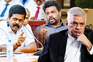 தென்னிலங்கையில் தமிழ் பொது வேட்பாளரின் தாக்கம்: சிறீதரன் எம்.பி சுட்டிக்காட்டு