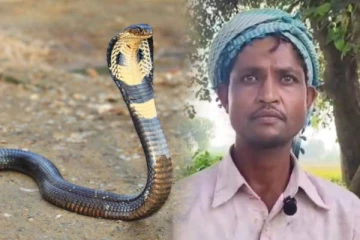 இரவில் பாம்பாக மாறி கடிக்க வரும் மனைவி.., கணவர் பொலிஸில் புகார்