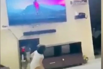 புஸ்பா பட பாடலை பார்த்து சுட்டி குழந்தை கொடுக்கும் ரியக்க்ஷன்.... மில்லின் பேரின் இதயங்களை கொள்ளை கொண்ட காட்சி