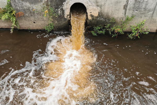யாழில் உணவக கழிவு நீரை வெளியேற்றியவருக்கு அபராதம்! | Fined Discharging Restaurant Wastewater In Jaffna