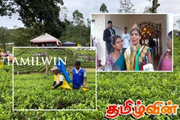 கொழுந்து பறிக்கும் போட்டியில் அந்தனி இரேஷா ராஜலட்சுமி முதலிடம்