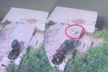 வலைக்குள் உயிருக்கு போராடிய மீன்... தப்பித்த சாமர்த்தியத்தை பாருங்க