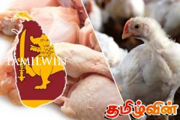 கோழி இறைச்சி விற்பனையில் வீழ்ச்சி!