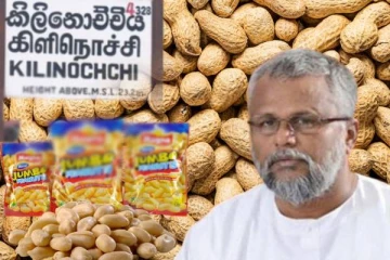 தமிழர் பகுதியில் ஜம்போ நிலக்கடலை உற்பத்தி: ஏற்றுமதி விருத்திக்கு டக்ளஸ் நடவடிக்கை