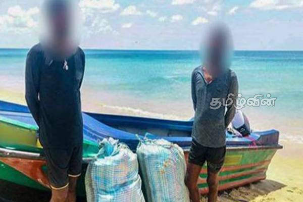 யாழில் கேரள கஞ்சாவுடன் ஒருவர் கைது | One Arrested In Jaffna With Kerala Cannabis