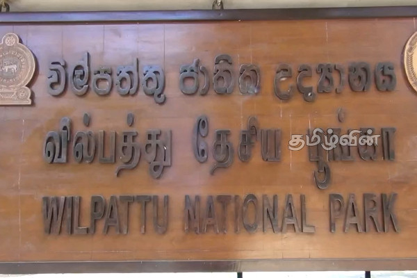 கடும் வறட்சியால் வில்பத்து சரணாலய விலங்குகள் பாதிப்பு | Animals Birds In Wilpattu National Park Effected