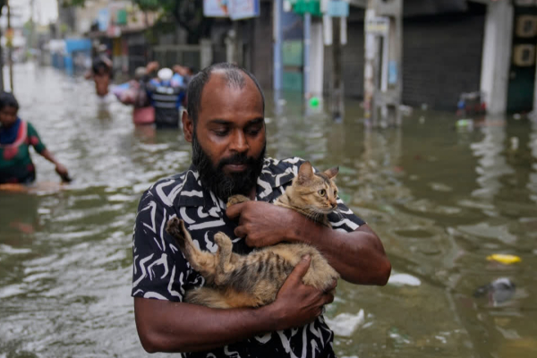 தேசிய அனர்த்த பிரதேசங்கள்; 22 நிர்வாக மாவட்டங்கள்; வர்த்தமானி வெளியிடு! | Ditwah Disaster Areas Sri Lanka Gazette Publish