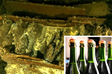 விலை உயர்ந்த ஷாம்பெயின் போத்தல்களுடன் 170 ஆண்டுகளுக்கு முன்பு மூழ்கிய கப்பல் கண்டுபிடிப்பு