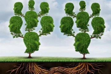 ඔබ දන්නවද? ගස් එකිනෙකා සමඟ කතා කරන බව.