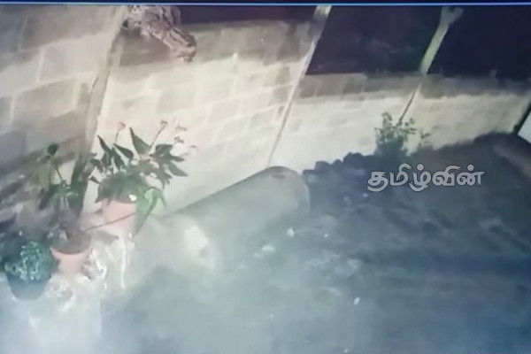 இரவில் சுற்றித் திரியும் சிறுத்தையினால் பொதுமக்கள் அச்சம் | Public Fears Leopard Around At Night Talawakelle