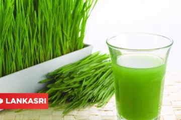 அருகம்புல் அற்புதமான மருத்துவ குணங்கள்..! நீங்களும் தெரிந்து கொள்ளுங்கள்