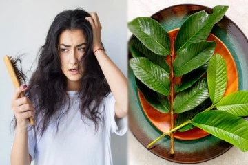 முடி உதிர்வை தடுப்பதற்கு இந்த ஒரு இலை போதும்: எப்படி பயன்படுத்துவது?