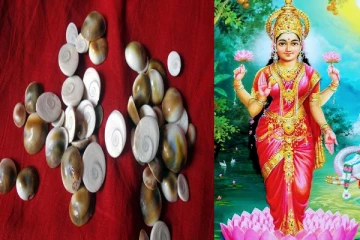 மகாலட்சுமி அம்சமான கோமதி சக்கரத்தை வீட்டு பூஜை அறையில் வைத்தால் என்ன பயன்?